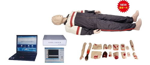 心肺复苏模型,心肺复苏人体模型 上海硕博 专业生产人体医学模型